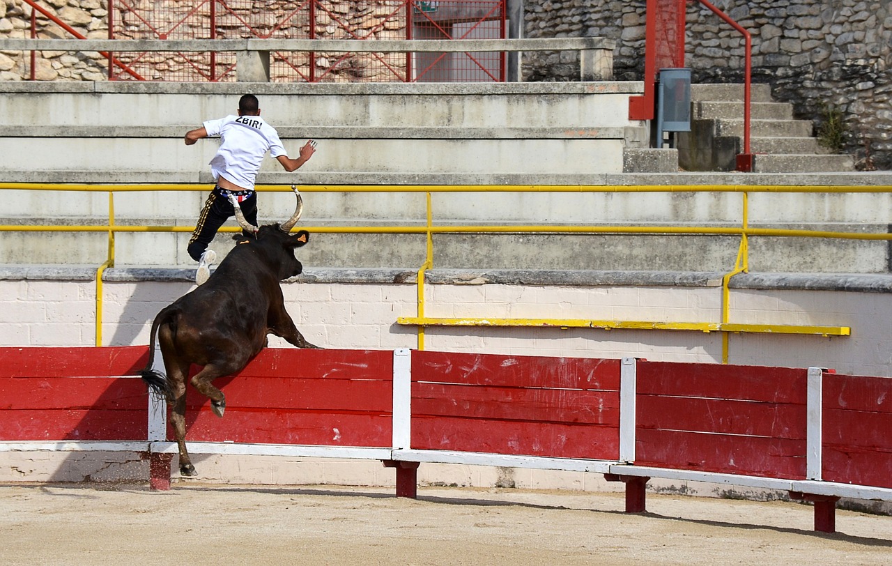 稳居榜首