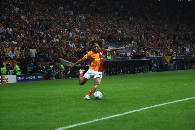 年轻潜力初 年轻潜力初