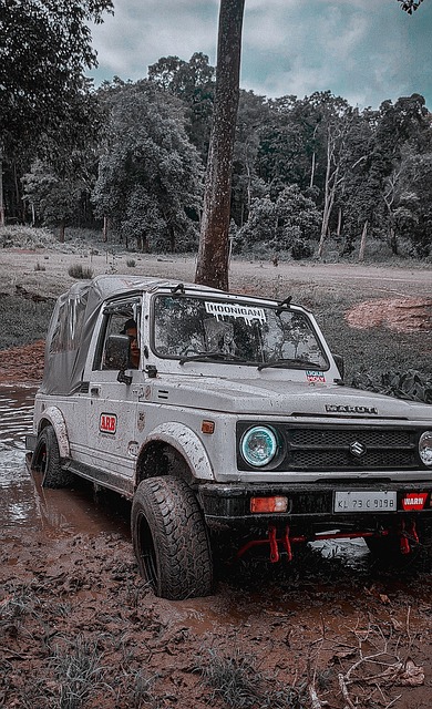 今日中岛庆 今日中岛庆