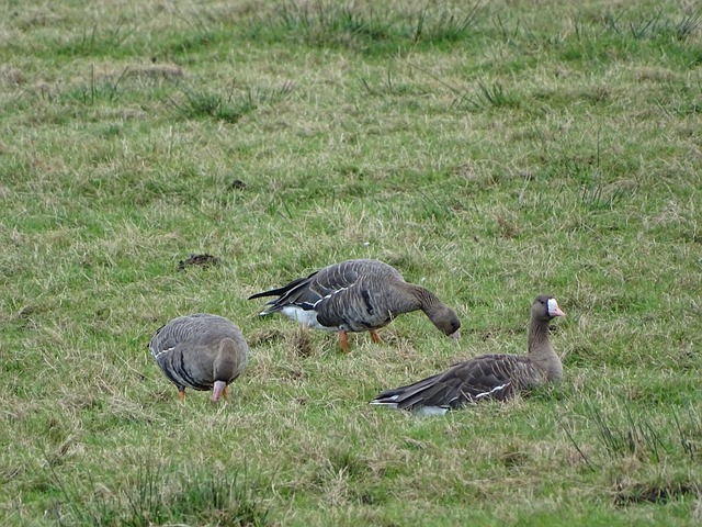 如何在国际 如何在国际