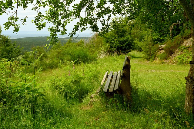 形容曼聯的 形容曼聯的